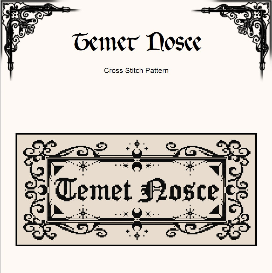 Temet Nosce Cross Stitch Pattern – Matrix Latin Quote (PDF) - EASY LEVEL