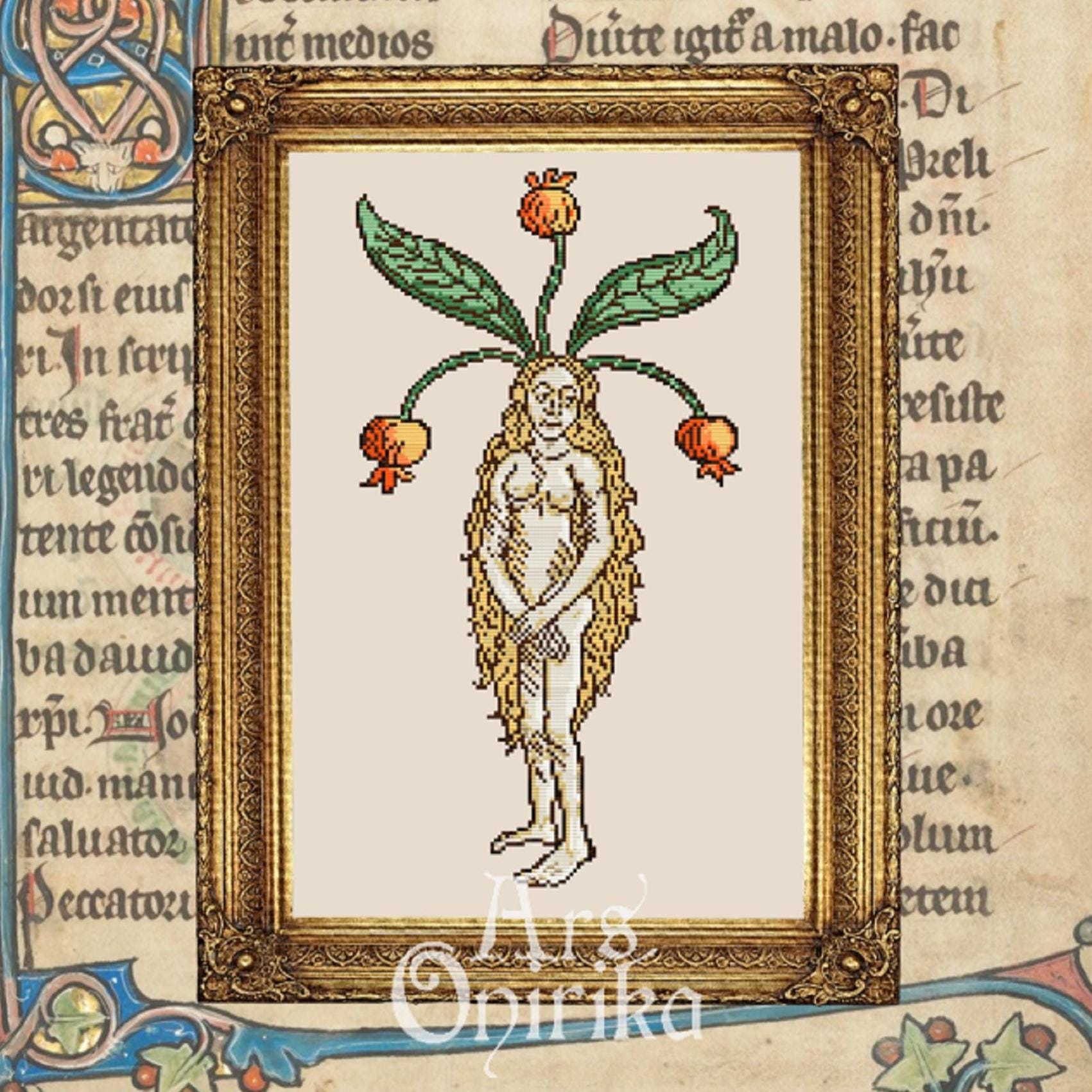 Female Mandrake Root Cross Stitch Pattern – Medieval Botanical Embroidery (PDF) - EASY LEVEL