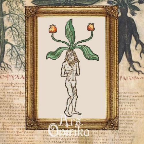 Pack of 2 BUNDLE! - Mandrake Root Cross Stitch Pattern – Medieval Botanical Art (PDF) - EASY LEVEL