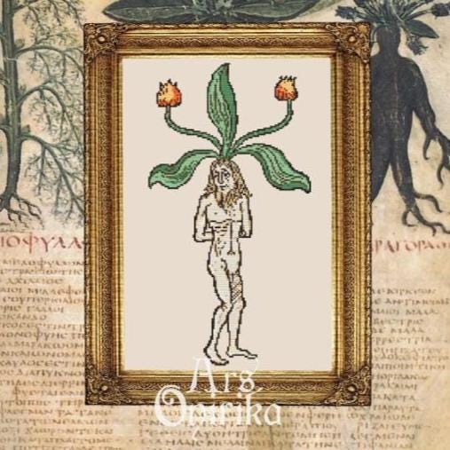 Male Mandrake Root Cross Stitch Pattern – Medieval Botanical (PDF) - EASY LEVEL