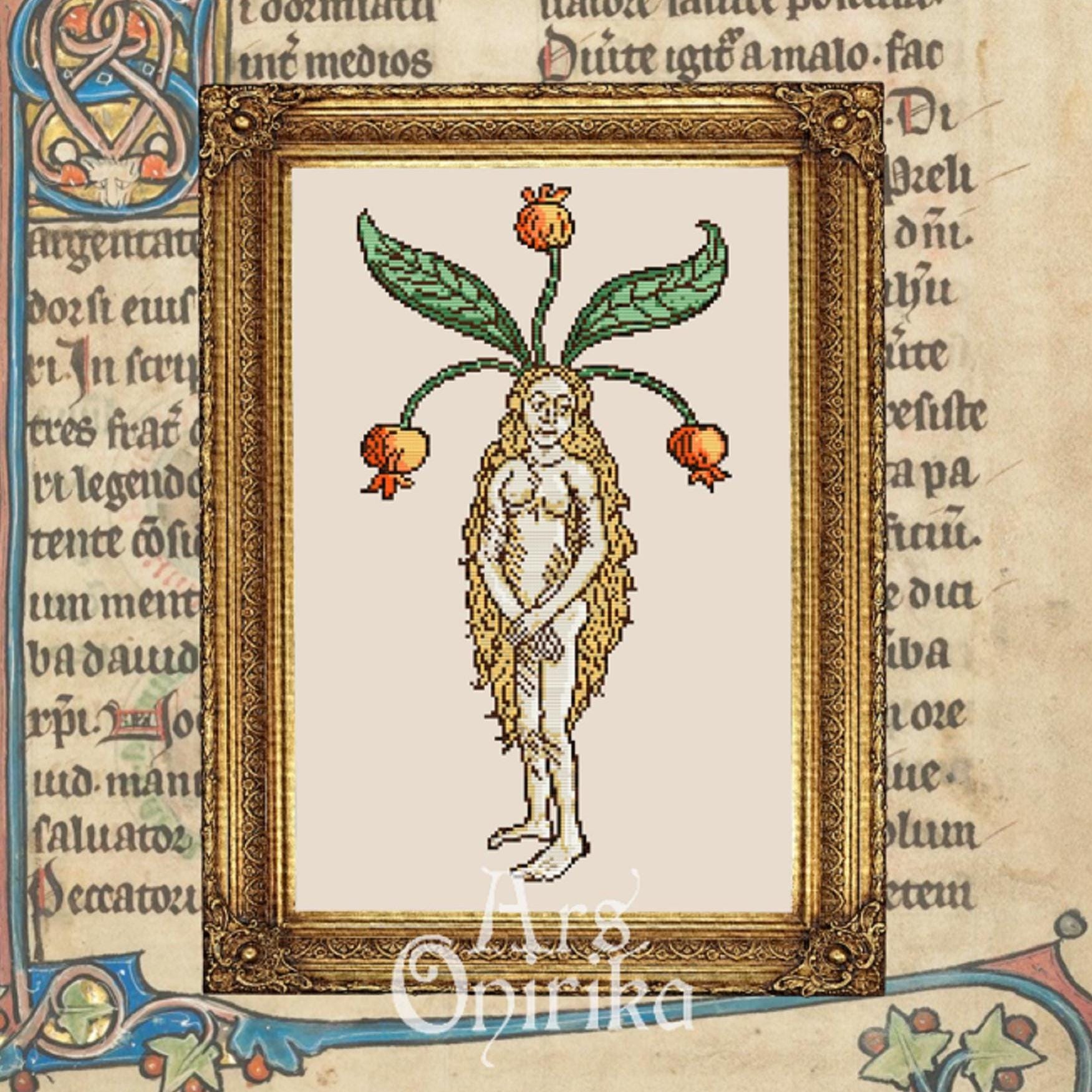 Pack of 2 BUNDLE! - Mandrake Root Cross Stitch Pattern – Medieval Botanical Art (PDF) - EASY LEVEL