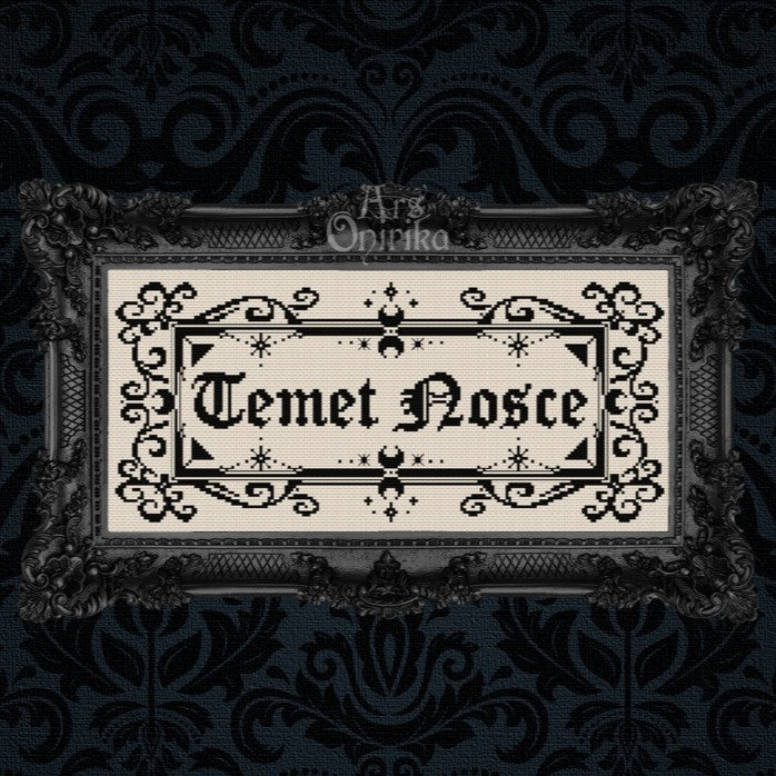 Temet Nosce Cross Stitch Pattern – Matrix Latin Quote (PDF) - EASY LEVEL